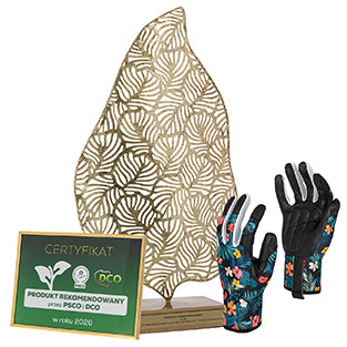 <strong>Rekomendacja PSCO i DCO 2025</strong>